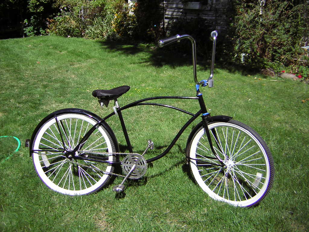 custom schwinn cruiser